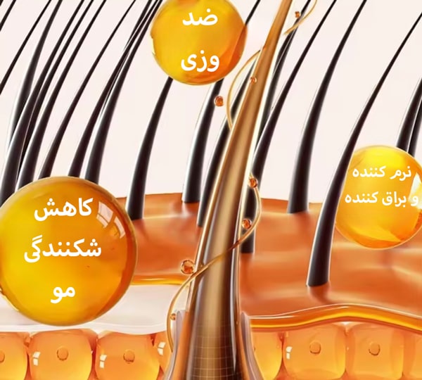 مزایای اسکالپ سر 5 کاره